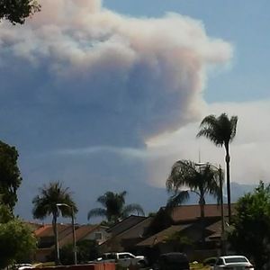 Meet your Posher, Dennise